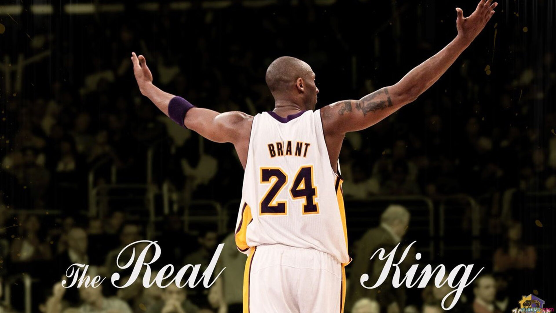 热火引发争议!蒂姆官方宣布险胜新规全场沸腾不已